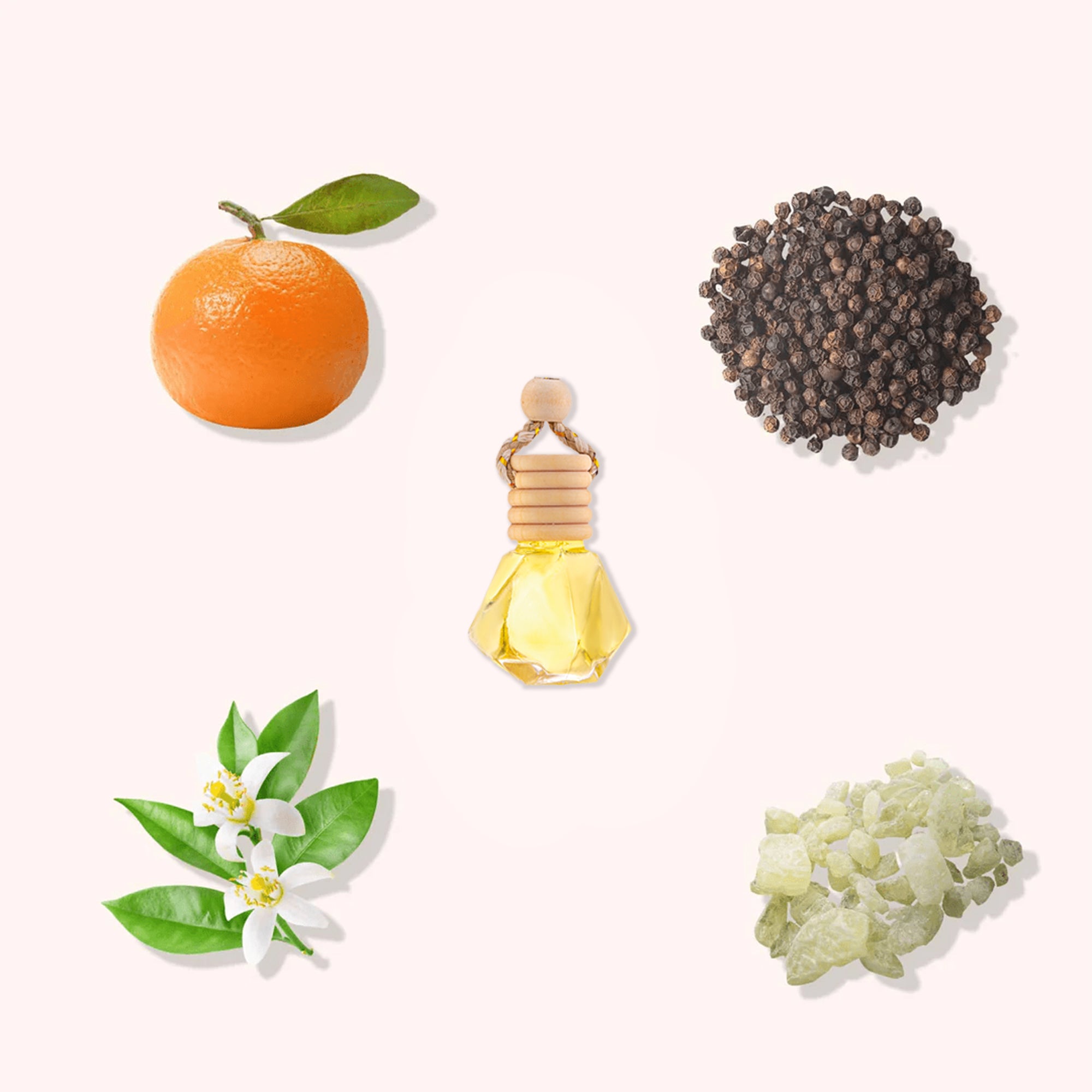 Perfumy samochodowe - Citrus Spice